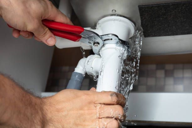 Best Water damage restoration near me  in Fowlerville, MI