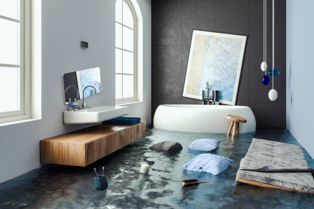  Fowlerville, MI Water damage restoration Pros