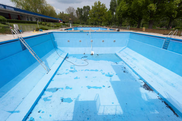 Best Basement water damage restoration  in Fowlerville, MI