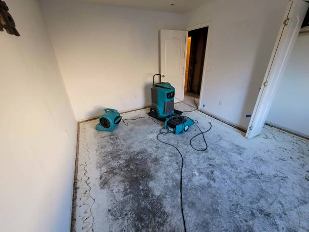 Best Water damage contractors near me  in Fowlerville, MI