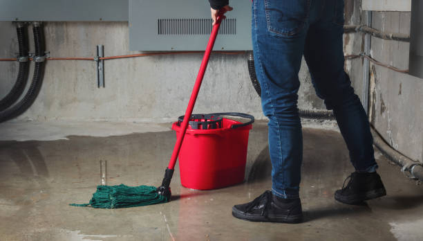 Water damage restoration experts in Fowlerville, MI