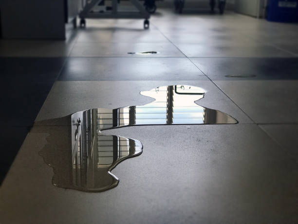 Best Water damage restoration near me  in Fowlerville, MI