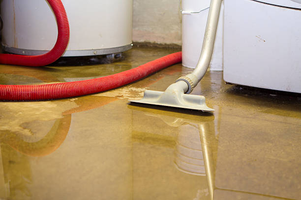 Best Sewage cleanup and water damage restoration  in Fowlerville, MI