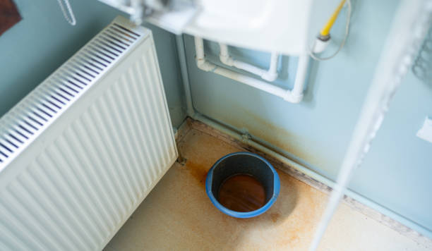 Best Commercial water damage restoration  in Fowlerville, MI