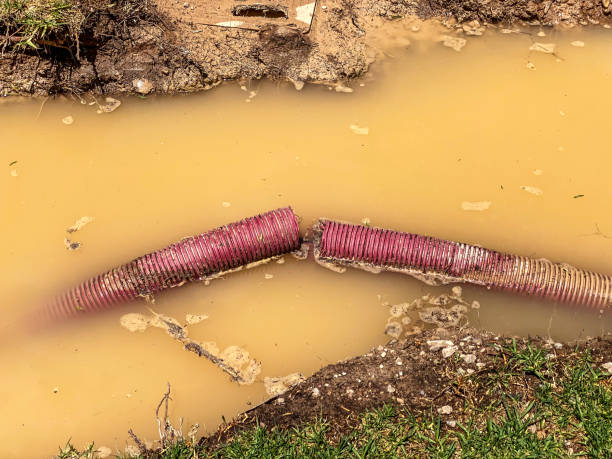 Reliable Fowlerville, MI Water damage restoration Solutions
