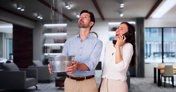 Best Emergency water damage restoration  in Fowlerville, MI